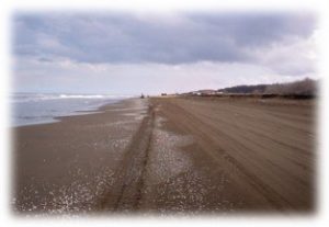 نمونه‎برداری توسط دستگاه نمونه گیر رسوب